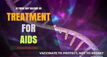 Exploring HIV/AIDS: Current Treatments, Vaccine Progress, and Hope for a Cure