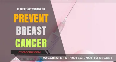 Breast Cancer Prevention: Exploring the Potential of Vaccines