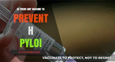 Can Vaccines Prevent H. Pylori Infections? Exploring Current Research