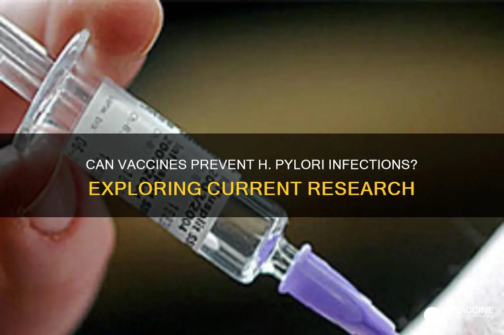 is there any vaccine to prevent h pyloi