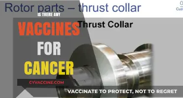 Exploring Cancer Vaccines: Hope on the Horizon