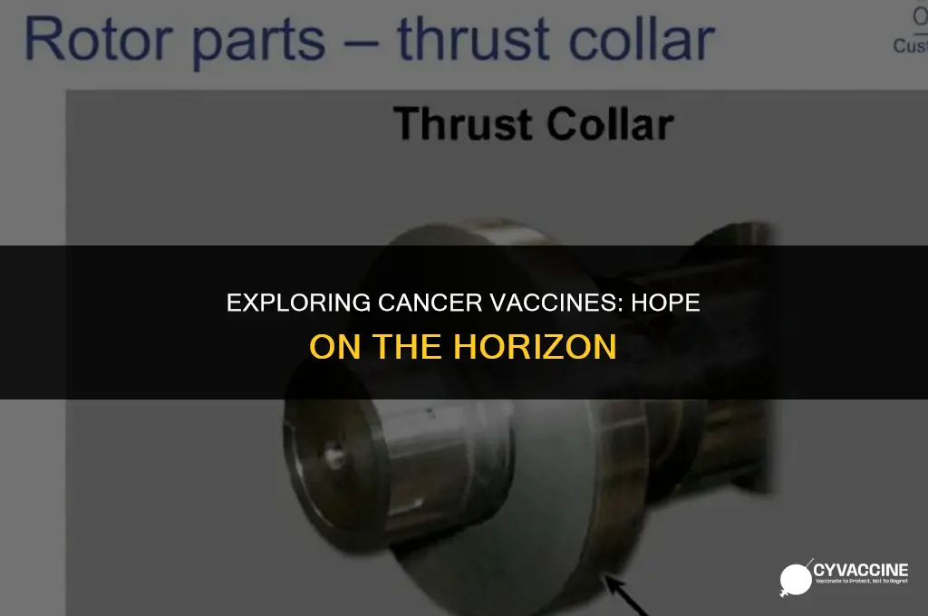 is there any vaccines for cancer