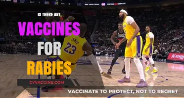 Exploring Rabies Prevention: Are Vaccines the Ultimate Solution?