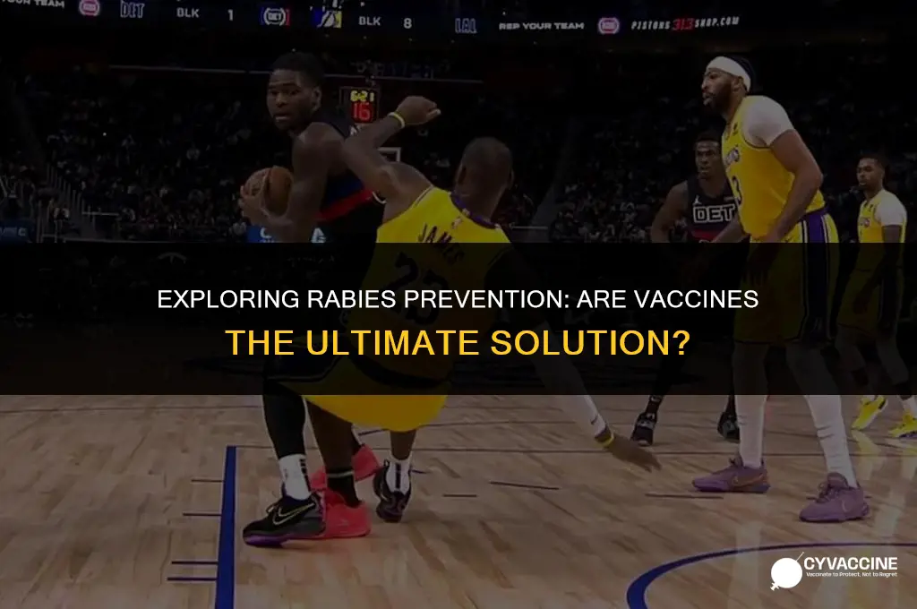 is there any vaccines for rabies