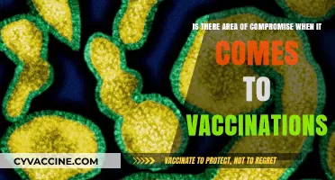 Balancing Health and Choice: Exploring Compromise in Vaccination Debates