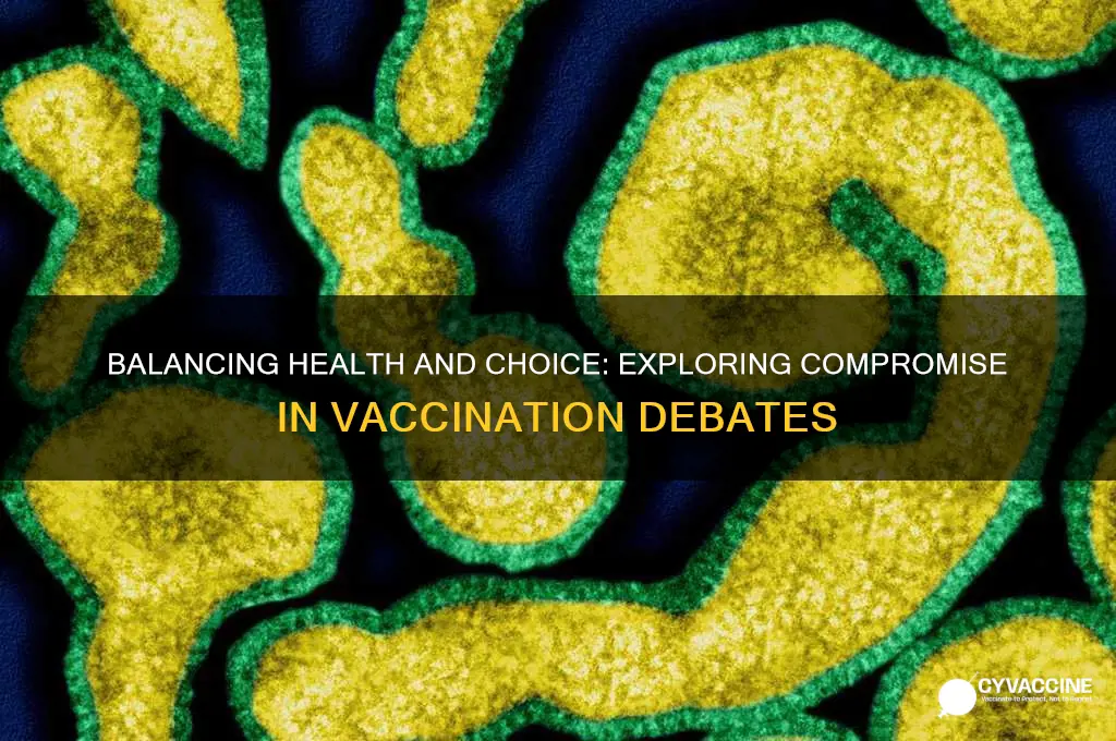 is there area of compromise when it comes to vaccinations