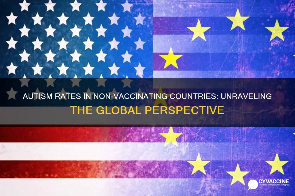 is there autism in countries that dont vaccinate