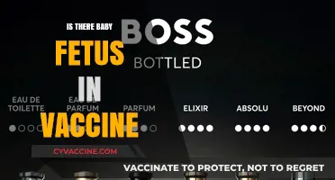 Exploring the Facts: Vaccines and Fetal Cells