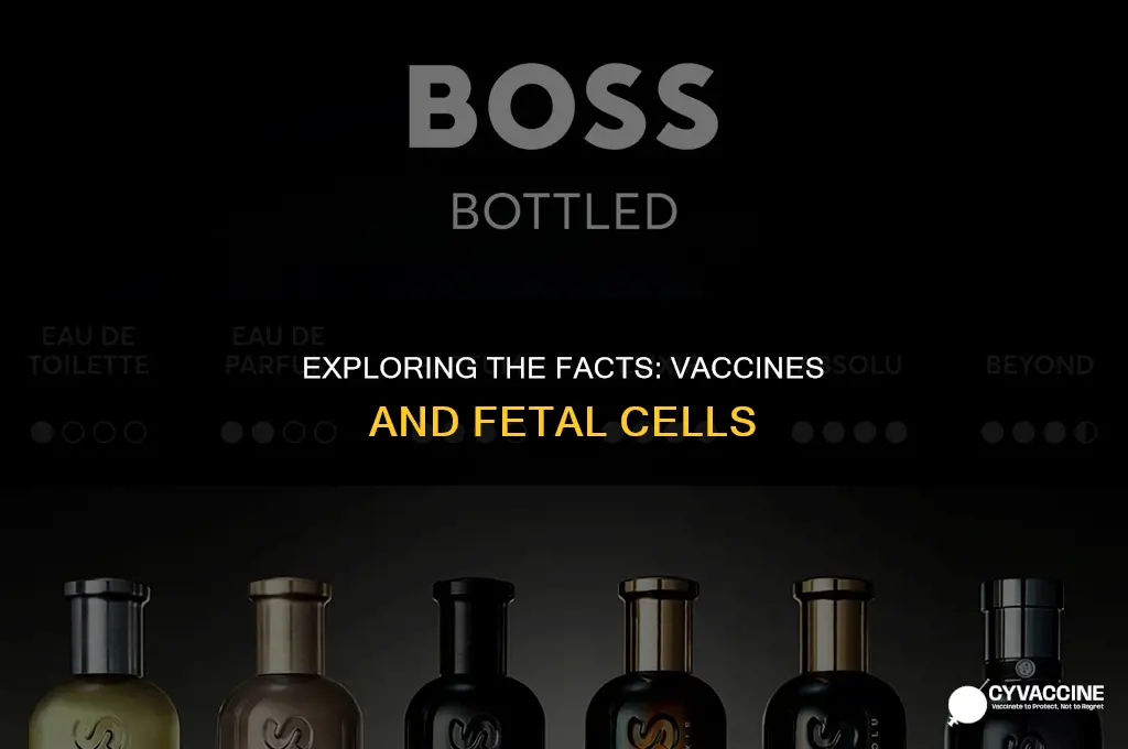 is there baby fetus in vaccine