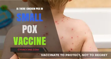 Chickenpox and Smallpox Vaccines: Unraveling the Connection and Misconceptions