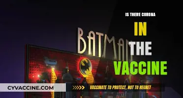 Unraveling the Myths: COVID-19 Vaccines and the Truth About Coronaviruses