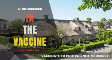 Debunking Myths: The Truth About COVID-19 Vaccines