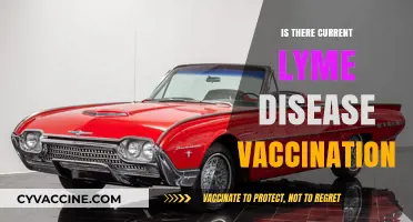 Exploring the Latest Advances in Lyme Disease Vaccination