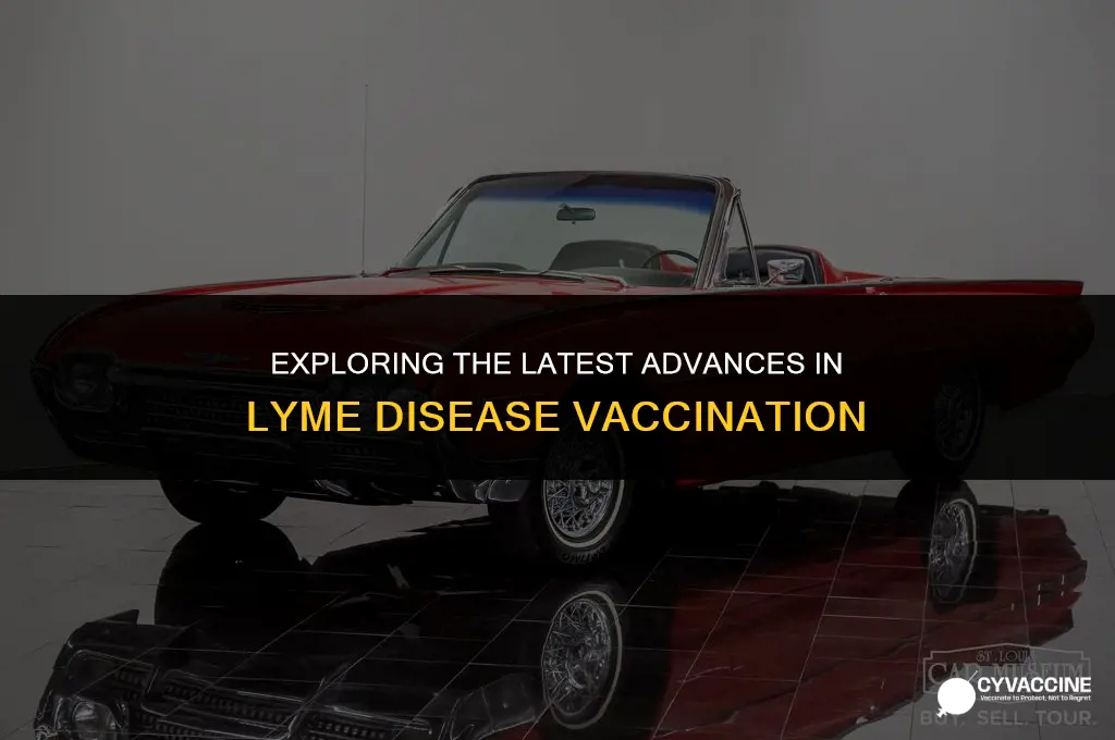 is there current lyme disease vaccination