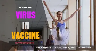 Debunking Myths: The Truth About Viruses in Vaccines