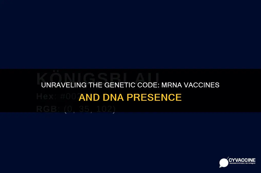 is there dna in mrna vaccines