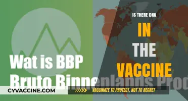 Unraveling the Myths: DNA and Vaccines - A Scientific Exploration