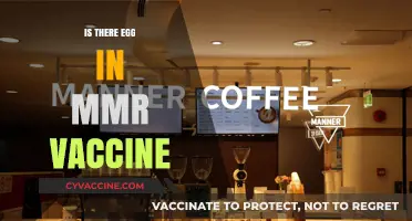 Unraveling the Myth: MMR Vaccine and Egg Content Explained