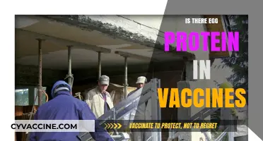 Unveiling the Truth: Egg Protein's Role in Vaccine Formulations