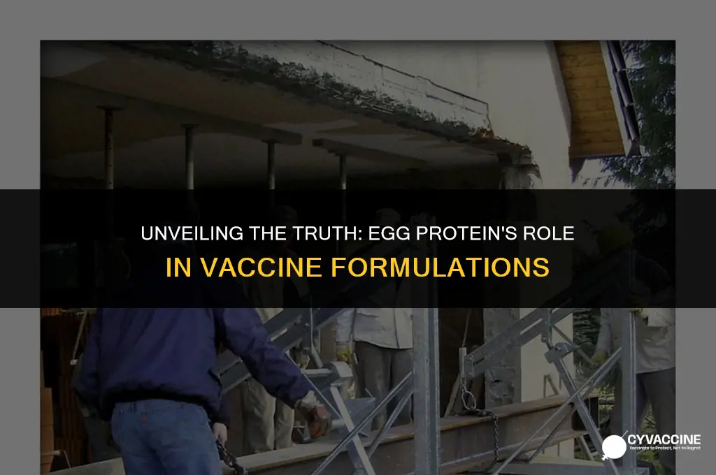 is there egg protein in vaccines