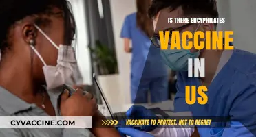 US Vaccine Options: Encephalitis Protection Available?