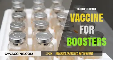 Boosting Immunity: Assessing Global Vaccine Supply for Additional Doses