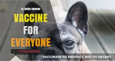 Global Vaccine Distribution: Ensuring Equitable Access for All
