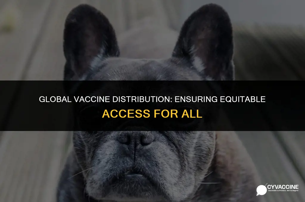 is there enough vaccine for everyone