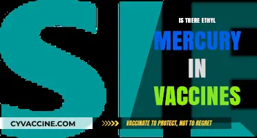 Unveiling the Truth: Ethyl Mercury's Presence in Vaccines