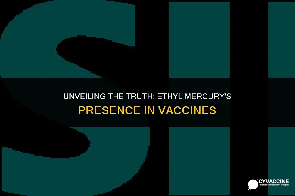 is there ethyl mercury in vaccines