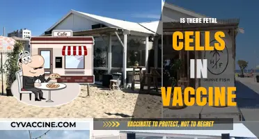 Exploring the Science: Fetal Cells and Vaccines - What You Need to Know