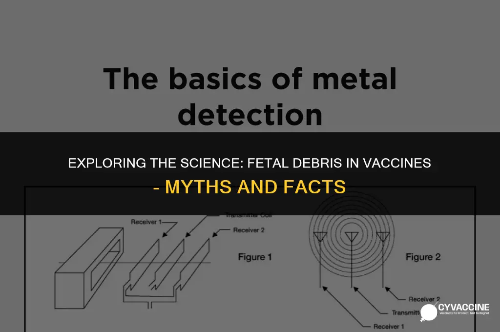 is there fetal debris in vaccines
