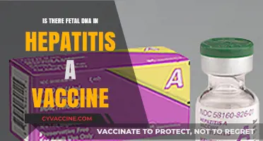 Hepatitis A Vaccine and Fetal DNA: Unraveling the Facts and Myths