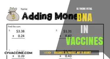 Exploring the Science: Fetal DNA in Vaccines - Facts and Myths