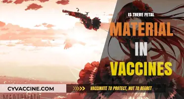 Exploring the Facts: Fetal Material in Vaccines