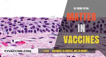 Exploring the Vaccine Debate: Fetal Matter and Public Health