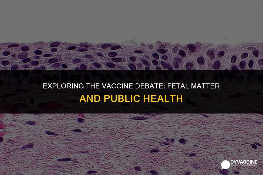 is there fetal matter in vaccines