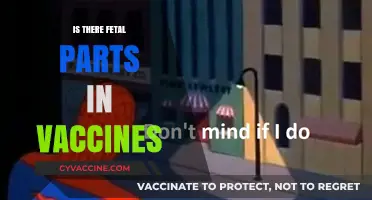 Exploring the Science: Do Vaccines Contain Fetal Parts?