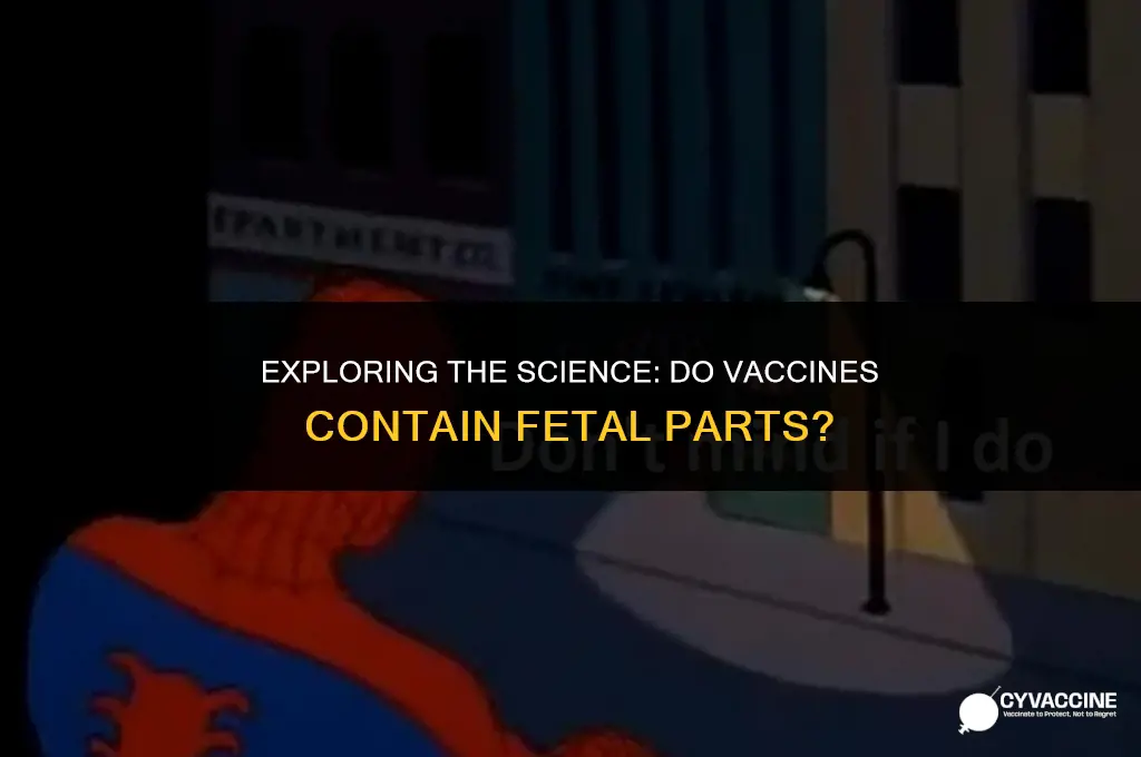 is there fetal parts in vaccines