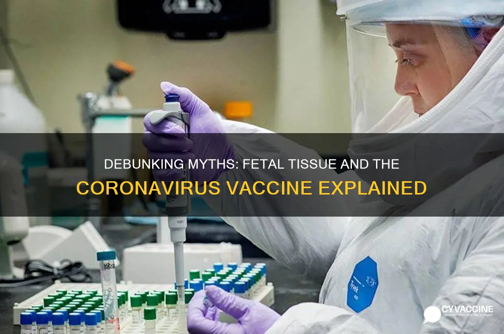 is there fetal tissue in the coronavirus vaccine
