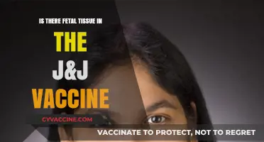 J&J Vaccine and Fetal Tissue: Separating Fact from Fiction