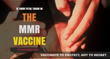 Debunking Myths: Fetal Tissue and the MMR Vaccine Explained