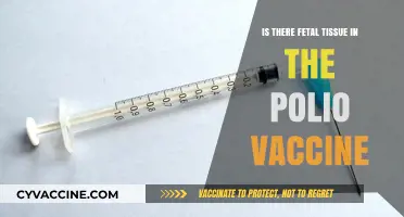 Polio Vaccine and Fetal Tissue: Separating Fact from Fiction