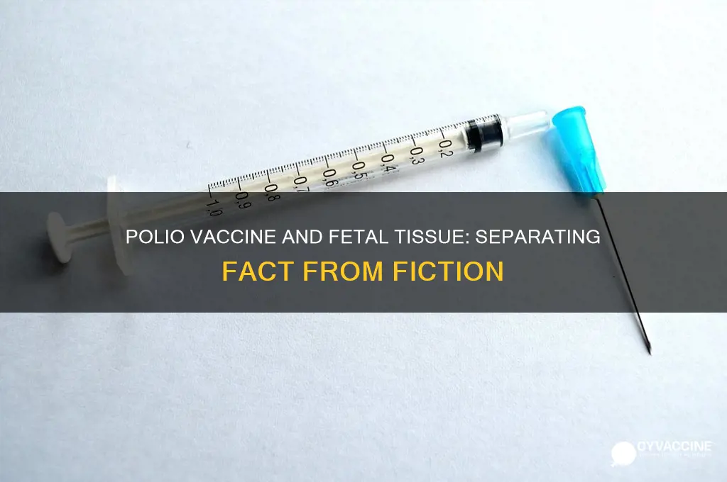 is there fetal tissue in the polio vaccine