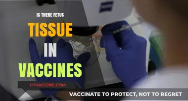 Exploring the Science: Fetal Tissue in Vaccines - Facts and Myths
