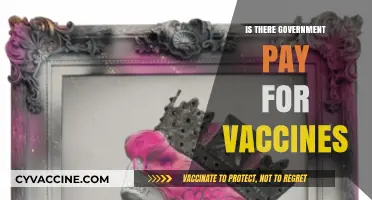 Exploring Government Compensation for Vaccine-Related Injuries