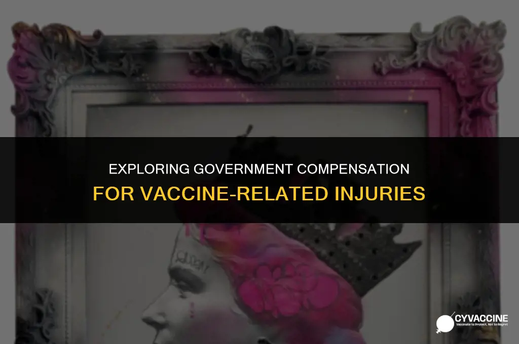 is there government pay for vaccines