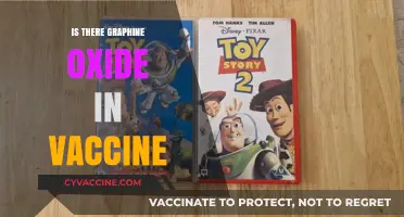 Exploring the Presence of Graphene Oxide in Vaccines: Facts and Myths