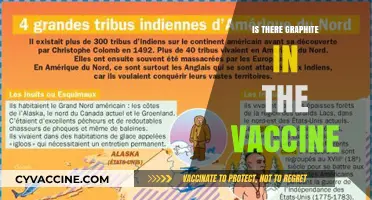Exploring the Myth: Graphite in Vaccines - Facts vs. Fiction