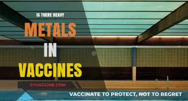 Unveiling the Truth: Do Vaccines Contain Harmful Heavy Metals?